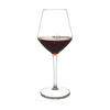 Shatterproof Viva La Vino Wine Glass With Pour Lines - Set of 4