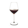 (NQR) Shatterproof Viva La Vino Wine Glass With Pour Lines - Set of 4 (NQR)