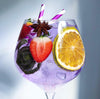 (NQR) Shatterproof Gin Goblet Glass With Pour Lines - Set of 4 (NQR)